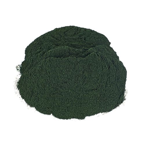 Arthrospira platensisof - Spirulina